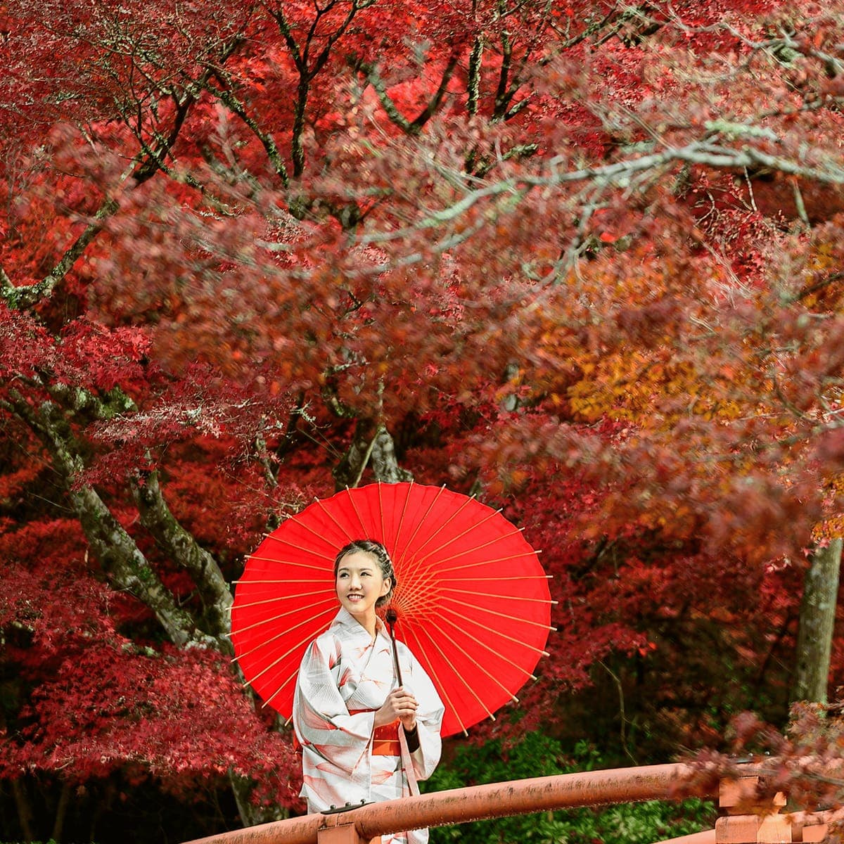 A woman in a kimono with a red umbrella under autumn maple trees