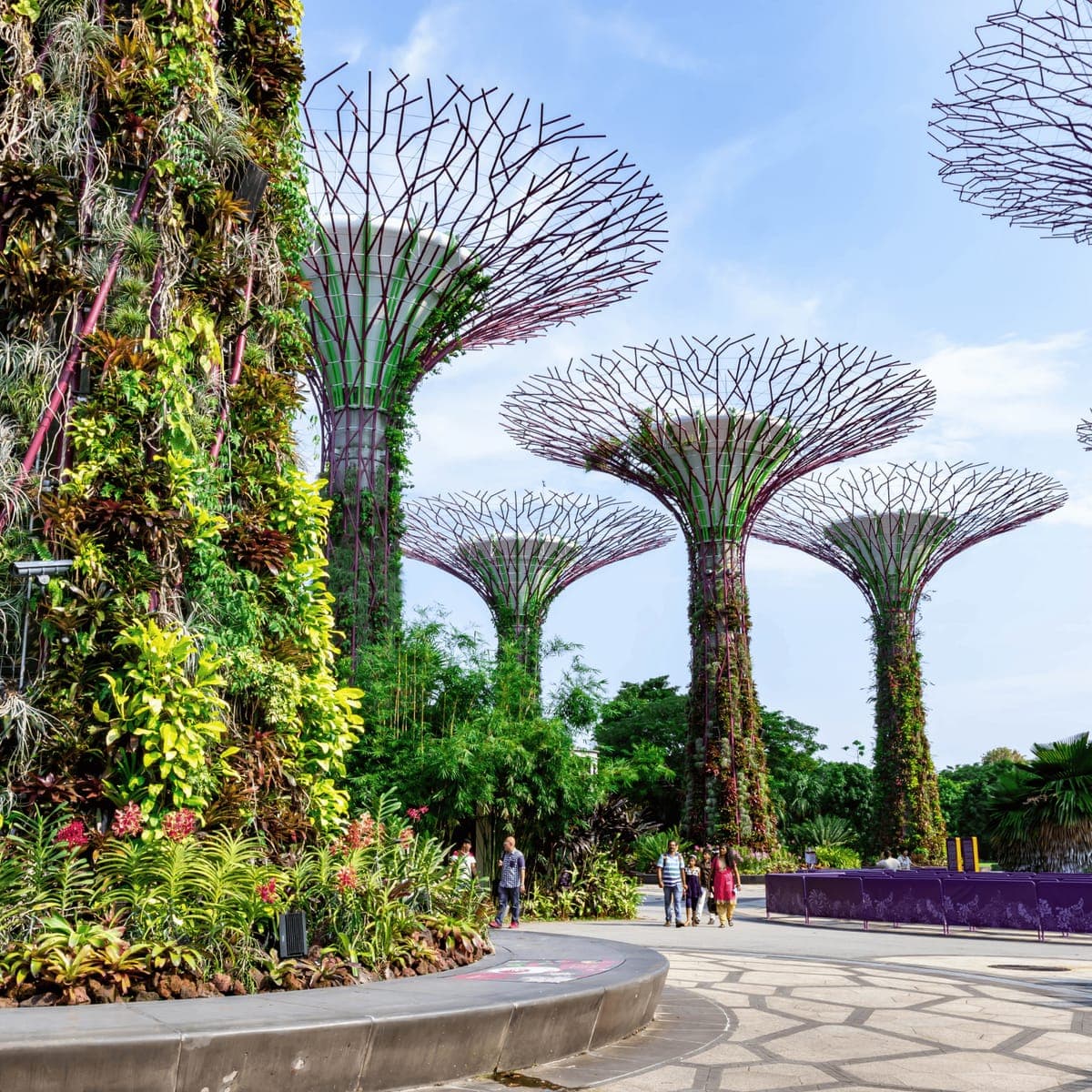 The Supertree Grove at Gardens by the Bay, Singapore