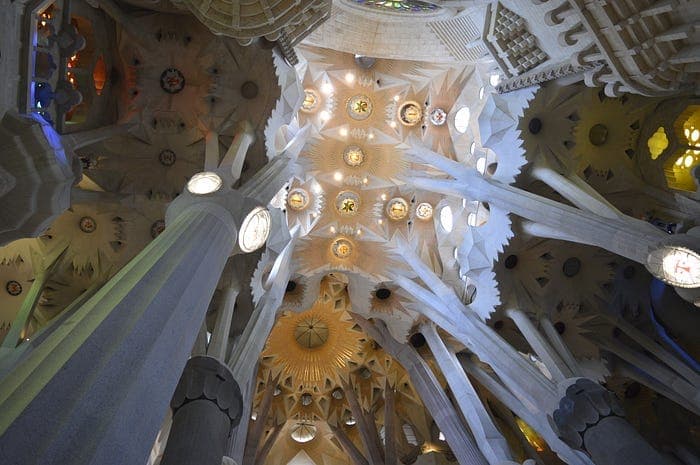 The tree-like columns and vaulted ceiling inside the Sagrada Familia